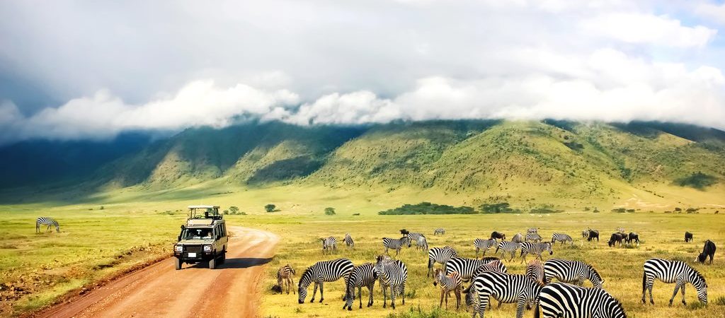 Safari landscape
