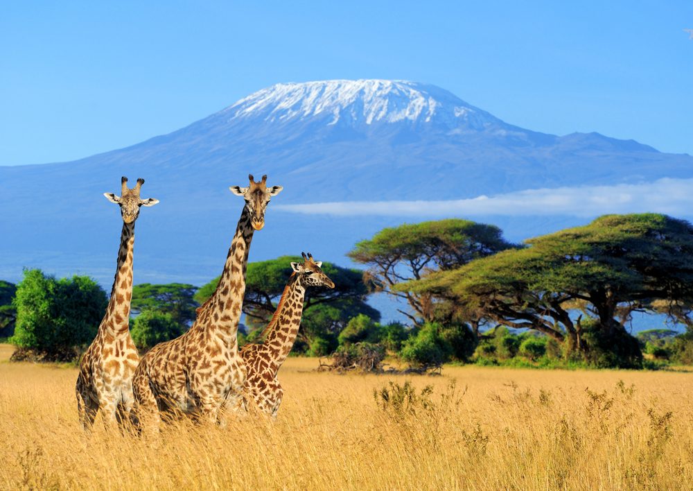 Katavi National Park